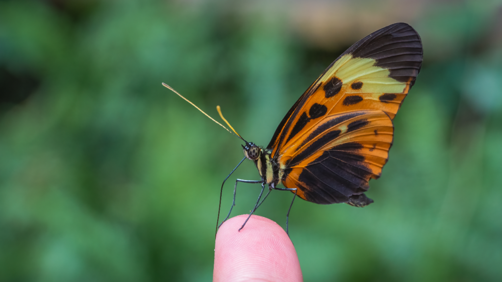 9 atitudes de Mindfulness que te ajudam a levar uma vida mais leve, consciente, saudável e feliz