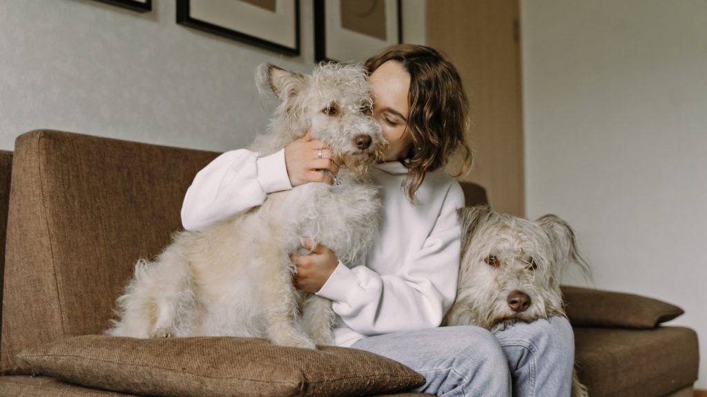 Proteção e amor: aprenda benzimento para os bichinhos de estimação