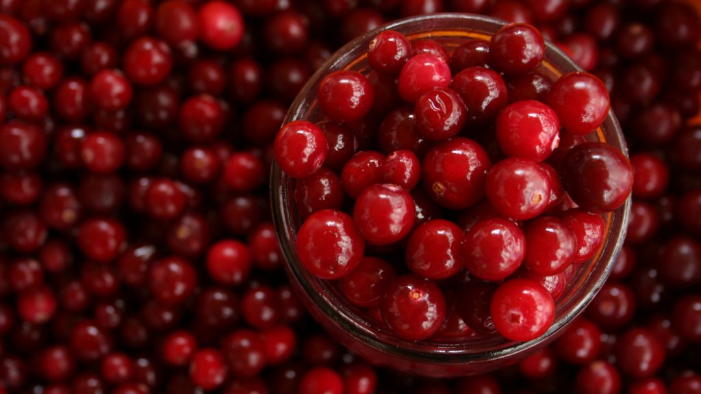 Cranberry: frutinha poderosa previne além de infecções urinárias